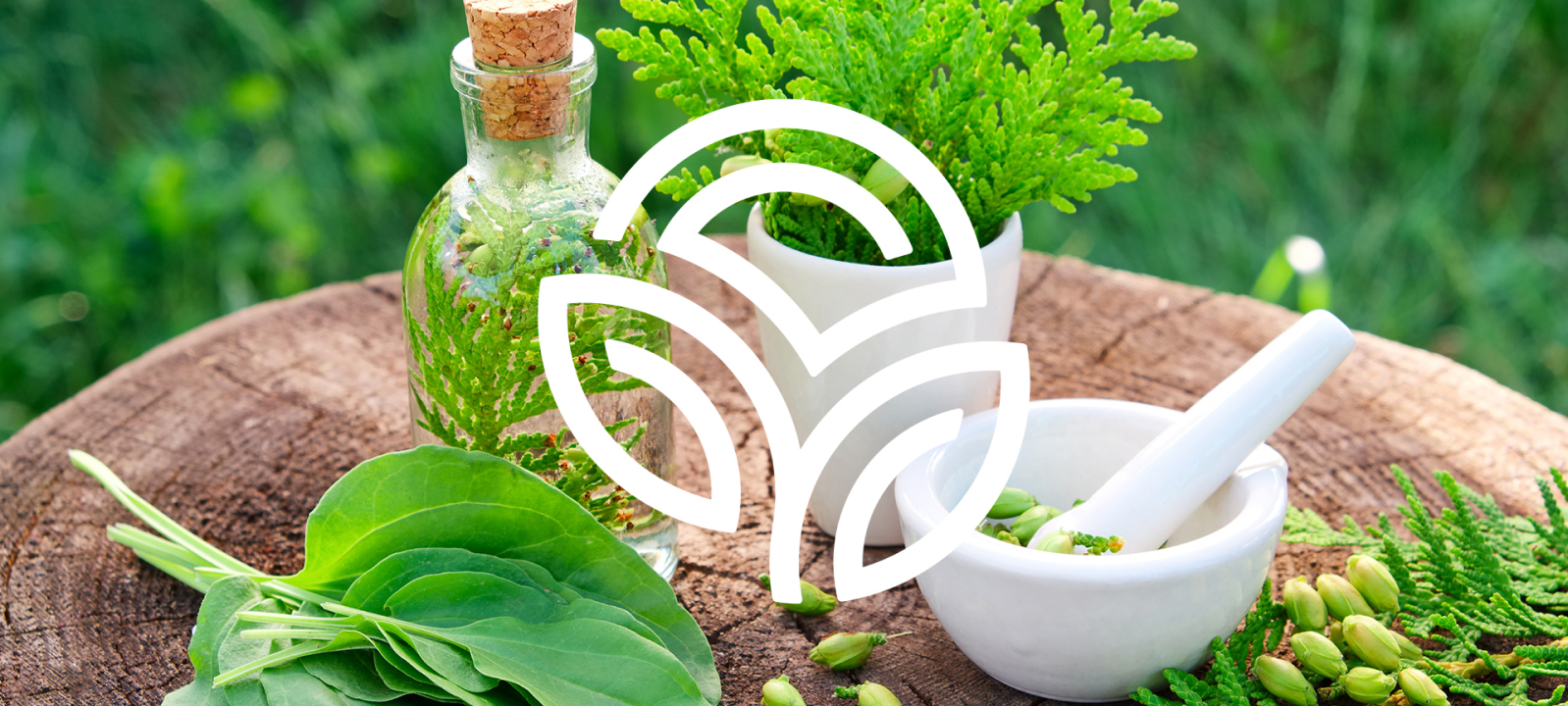 Новые ролики о наших продуктах