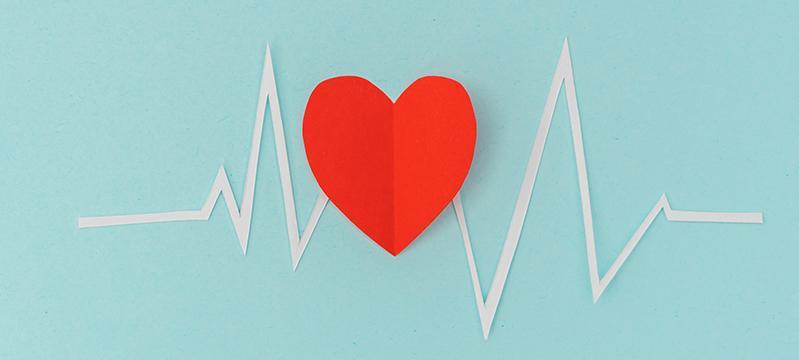 Питательная и метаболическая поддержка работы сердца